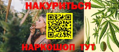 бошки Новозыбков