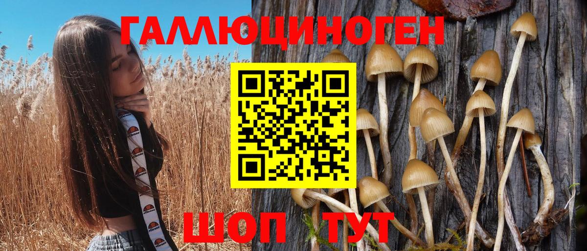 Галлюциногенные грибы Cubensis Рязань
