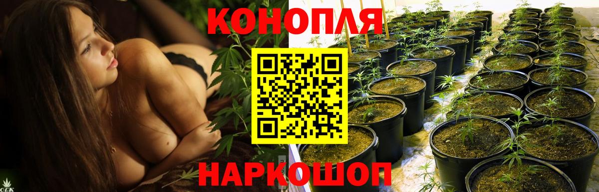 Шишки марихуана SATIVA & INDICA Рязань